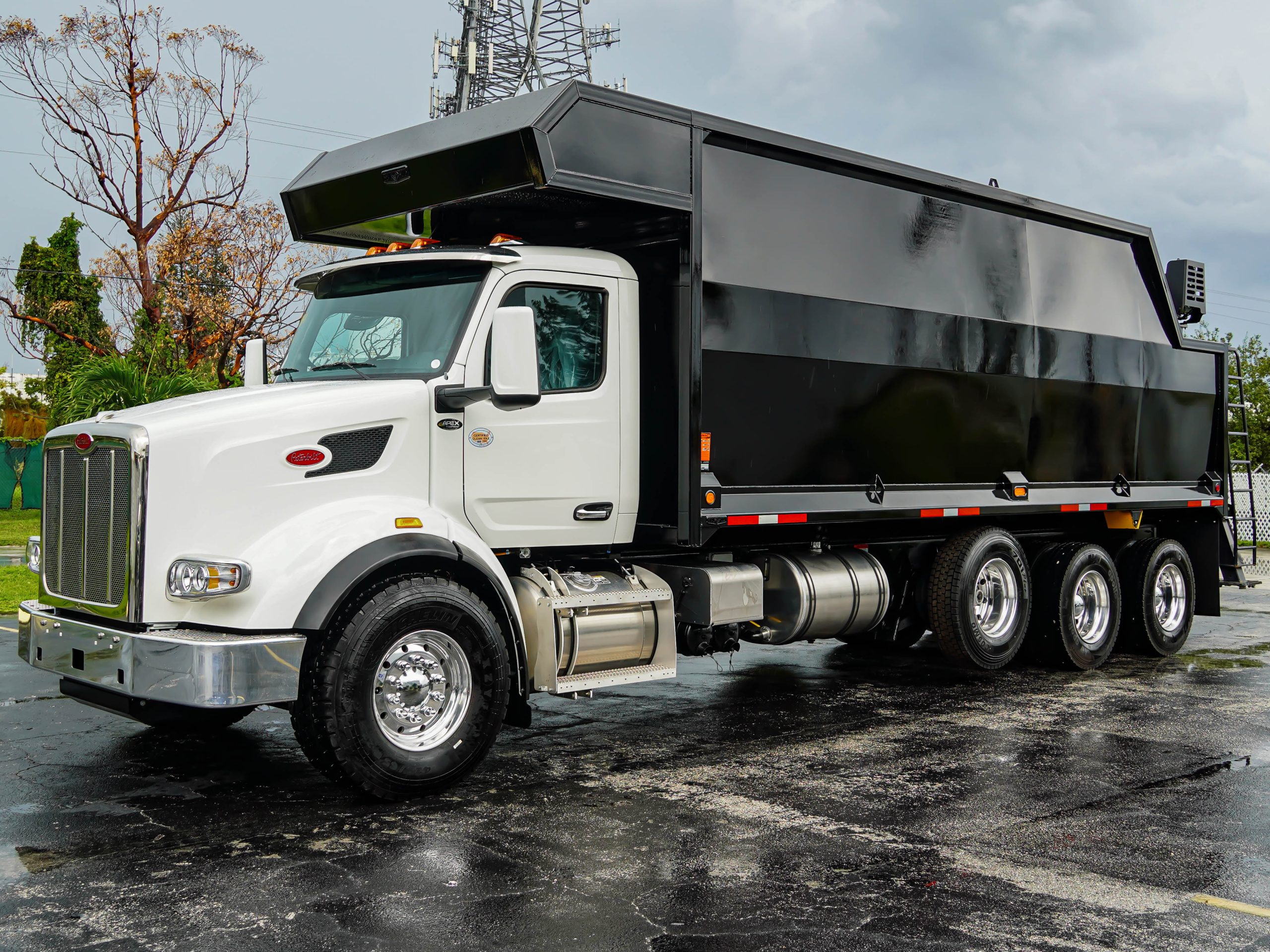 2025 Peterbilt - image 3